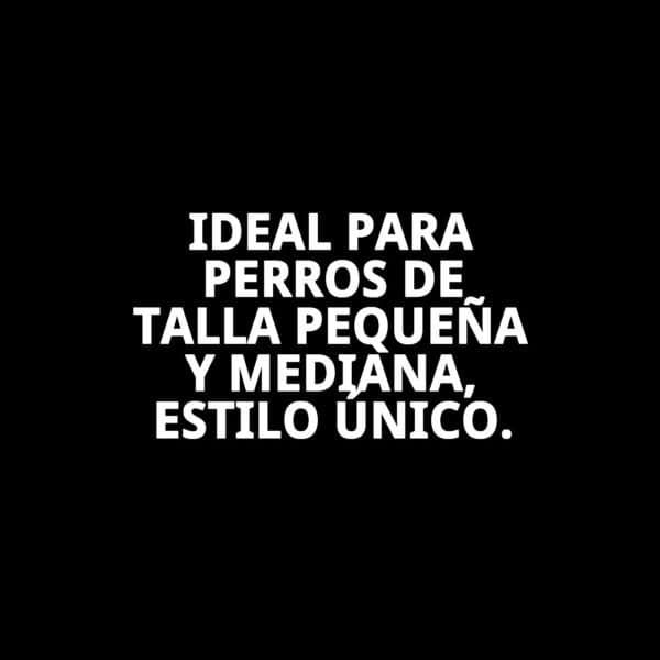 abrigo damasco t l