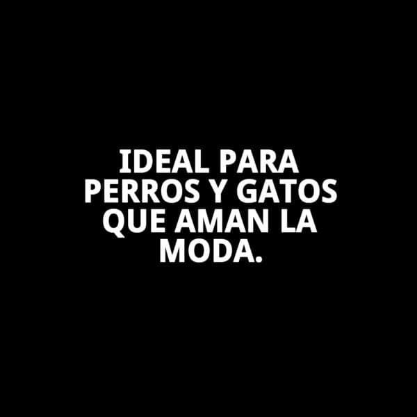 abrigo damasco t s