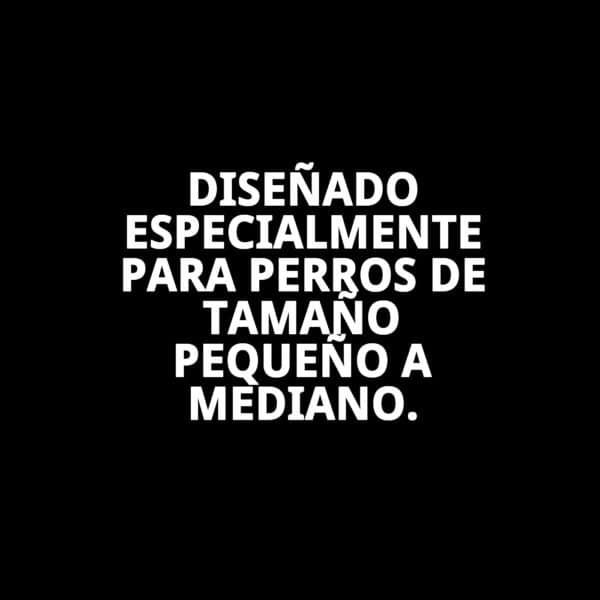 abrigo enzo t s