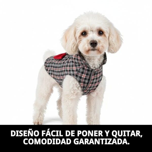 abrigo izan t xs