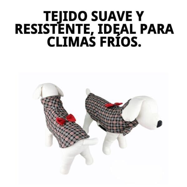 abrigo izan t xxs