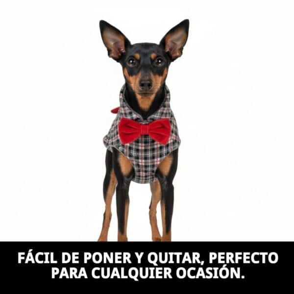 abrigo izan t xxs