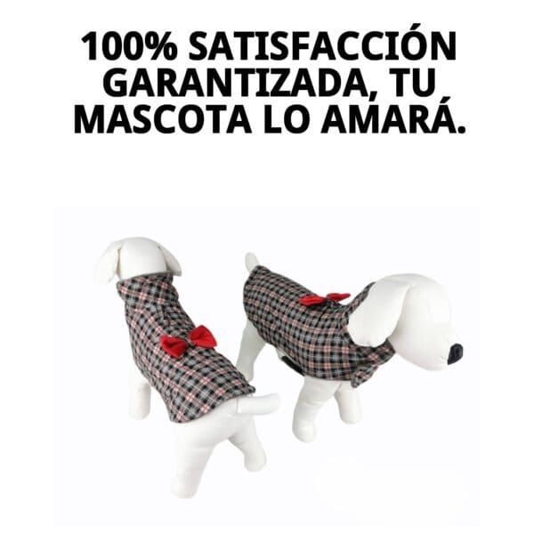 abrigo izan t xxs