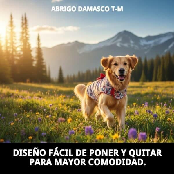 abrigo damasco t m