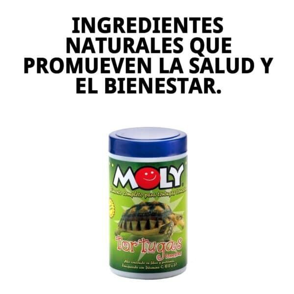 moly tortugas terrestres 150gr/250 ml