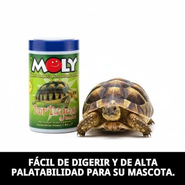 moly tortugas terrestres 150gr/250 ml