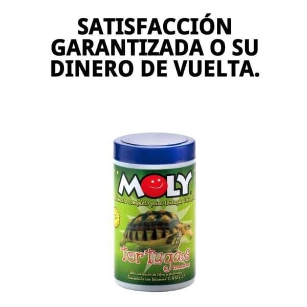 moly tortugas terrestres 150gr/250 ml