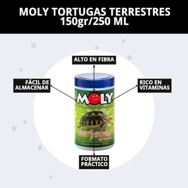 moly tortugas terrestres 150gr/250 ml