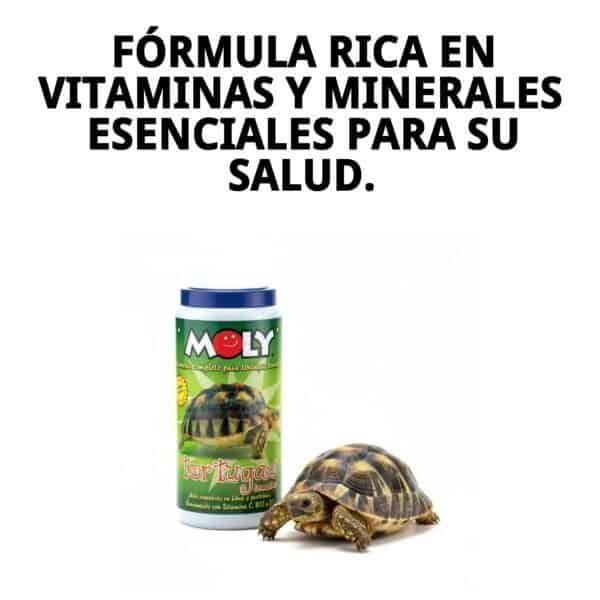 moly tortugas terrestres 360gr / 1 litro