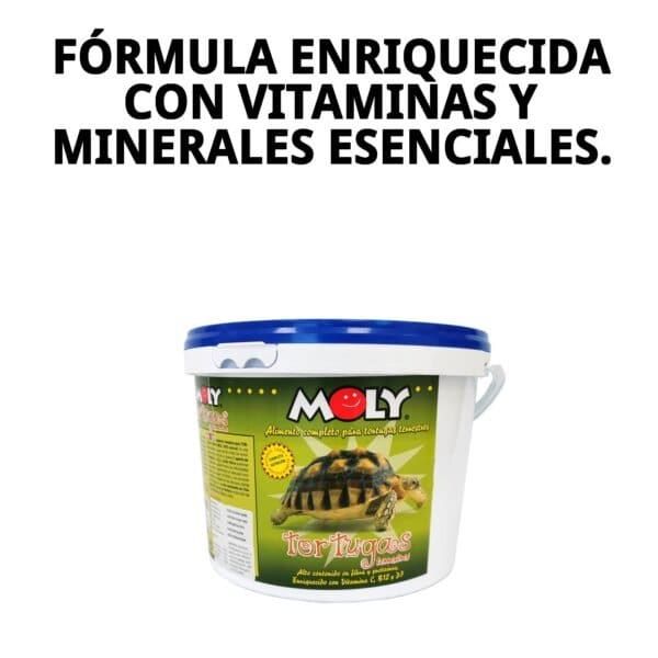moly tortugas terrestres 2,5 kg