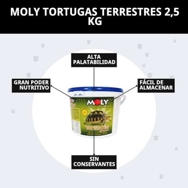 moly tortugas terrestres 2,5 kg