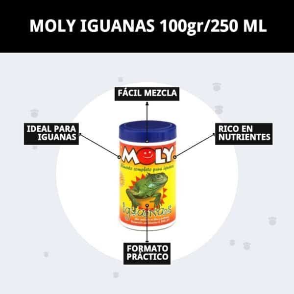 moly iguanas 100gr/250 ml