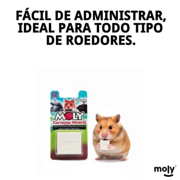 moly calcio roedores 100gr