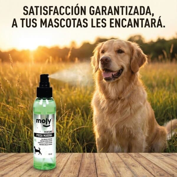 perfume moly brisa marina 125 ml | aroma fresco y duradero para perros y gatos