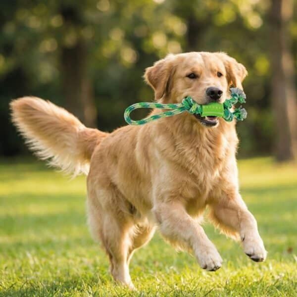 lanzador mordedor green 35 cm moly | juguete resistente para perros activos