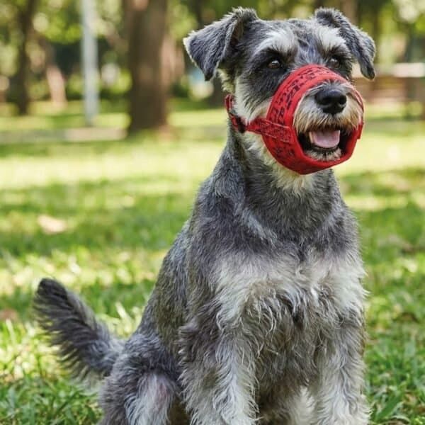 bozal deluxe gaviotas talla s moly | suave, ajustable y transpirable para perros pequeños
