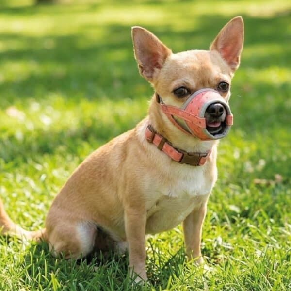 bozal deluxe corazones talla s moly | suave, ajustable y transpirable para perros pequeños