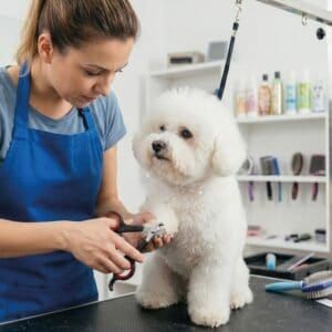 Tijeras cortauñas para perros y gatos pequeños, corte seguro y preciso con mango antideslizante.