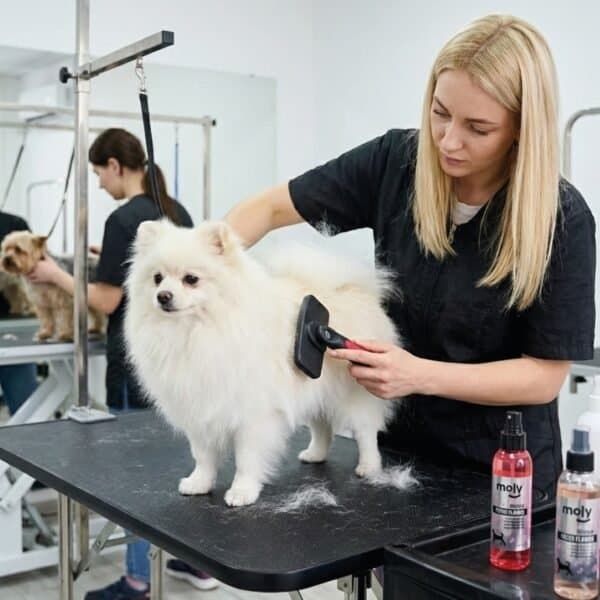 Cepillo profesional para mascotas con expulsor de pelo, ideal para perros medianos y grandes, fácil de limpiar y eficiente.