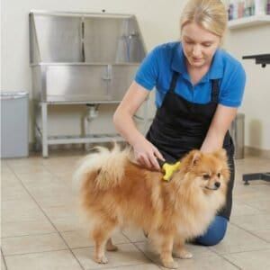 Rastrillo para perros pequeños, herramienta de deslanado precisa y confiable.