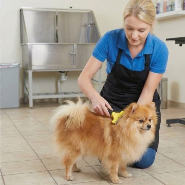 Rastrillo para perros pequeños, herramienta de deslanado precisa y confiable.