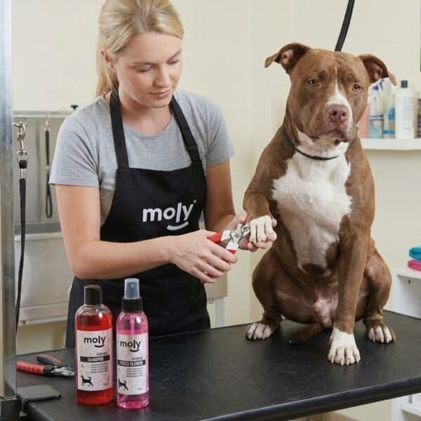 Cortauñas grande Moly con sistema de seguridad para perros grandes y corte preciso.