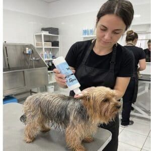 Perro en peluquería siendo bañado con productos de calidad.