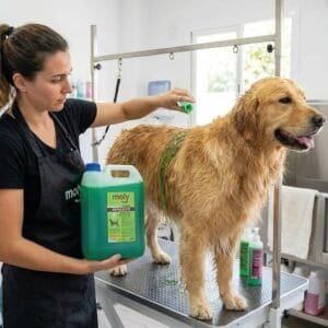 Peluquería canina con champú menta refrescante y repelente para perros de todos los tamaños.