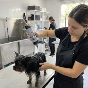champú pelo negro 500 ml moly | intensificador de color y brillo para pelajes oscuros