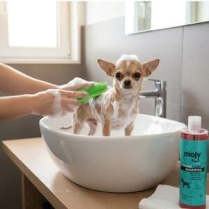 champú para cachorros 500 ml moly | limpieza ultra suave para pieles sensibles