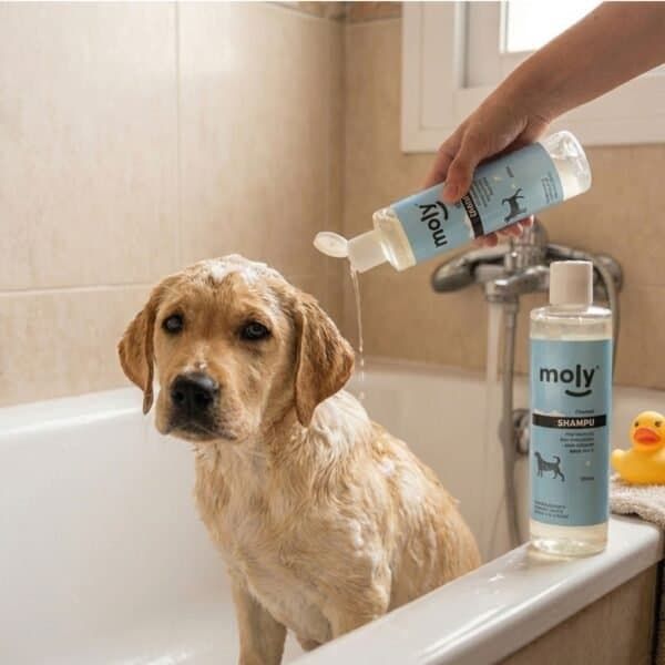 champú uso frecuente 500 ml moly | limpieza suave y diario para todo tipo de perros