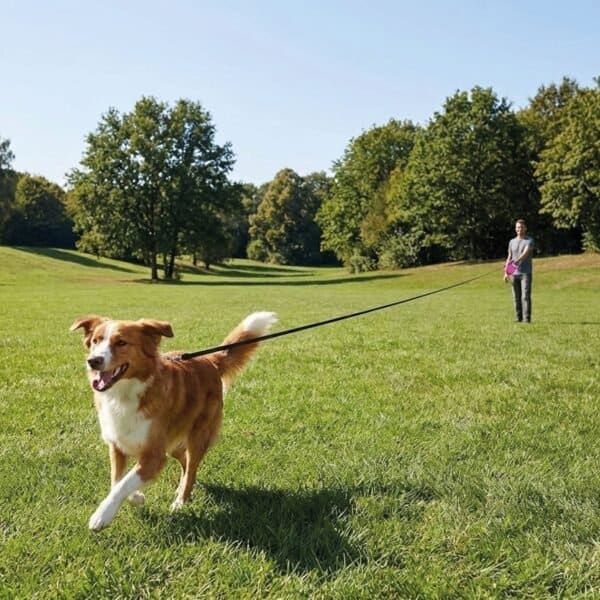 Correa ligera y segura para perros pequeños, ideal para paseos con control y comodidad.