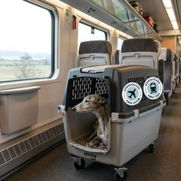 transportín gulliver iata n.º 6 | transportín aprobado para avión para perros grandes