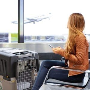 transportín gulliver iata n.º 5 | transportín homologado para avión para perros medianos