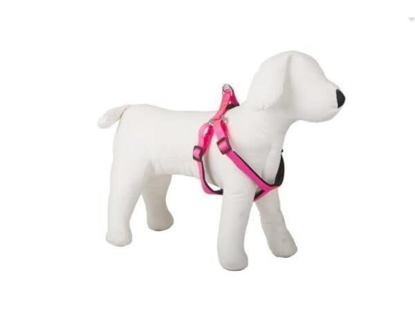 arnes nylon confort 1,5cm