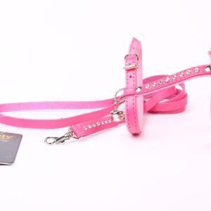 Correa y arnés rosa con cristal en tienda online TodoMASKOTAS para mascotas elegantes.