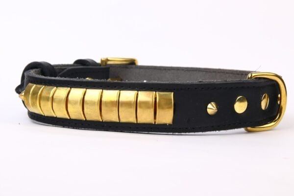 Correa de piel negra con detalles dorados para perros de lujo, tamaño 65 cm, elegante y resistente.