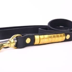 Correa de piel con detalles dorados, ideal para mascotas de tamaño grande.