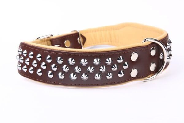 Collar para perros de piel de alta calidad con tachuelas y tamaño de 75 cm, ideal para mascotas con estilo.