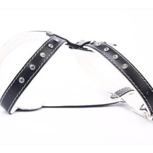 Arnés de piel de lujo con cristal de 60 cm, elegante y resistente para mascotas.