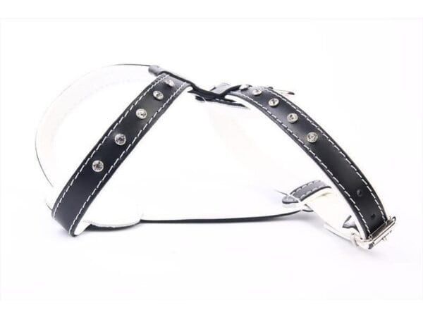 Arnés de piel de lujo con cristal de 60 cm, elegante y resistente para mascotas.
