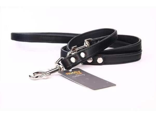 Correa de piel luxury de 220 cm para mascotas, resistente y elegante, perfecta para paseos con estilo.