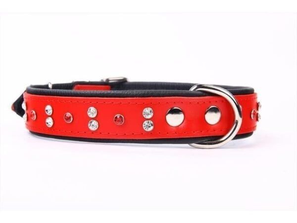 Collar para perros en piel roja con cristales y detalles metálicos. Cómodo y elegante para tu mascota.