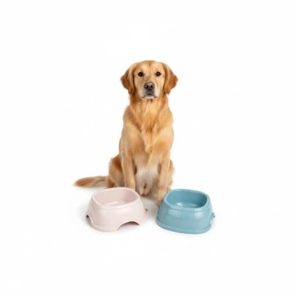 collar moly lila t 5 40 50*2