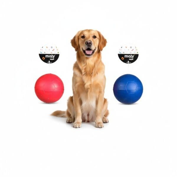 pelota caucho c/ sonido 6,5 cm