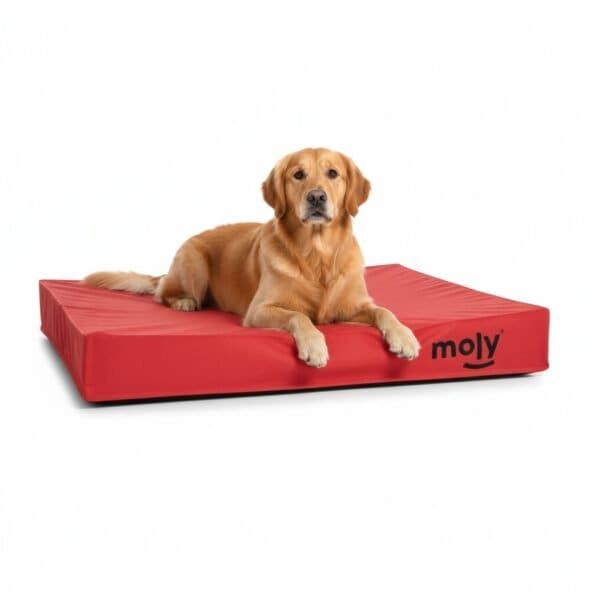 colchon waterproof rojo t 1 80x60x10