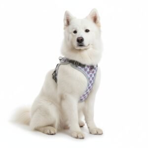 chaleco 3d corazones t s