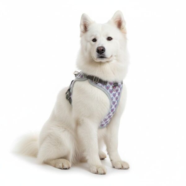 chaleco 3d corazones t s