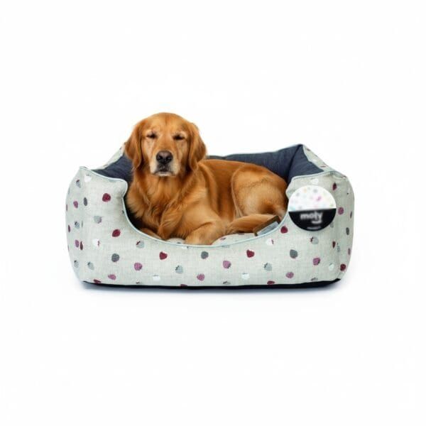 set 4 ruedas para transportínes de perro gulliver iata giratorias