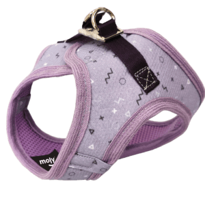 import placeholder for 669